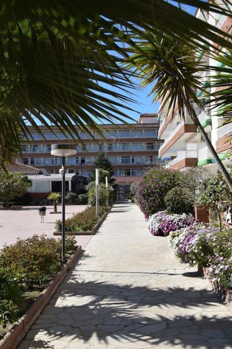 Alegre Apto Con Piscina, A 300M De La Playa. Blanes Dış mekan fotoğraf