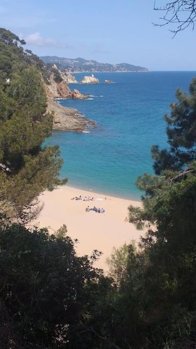 Alegre Apto Con Piscina, A 300M De La Playa. Blanes Dış mekan fotoğraf