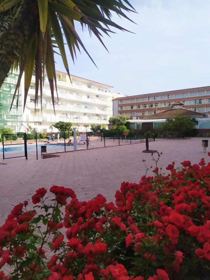 Alegre Apto Con Piscina, A 300M De La Playa. Blanes Dış mekan fotoğraf